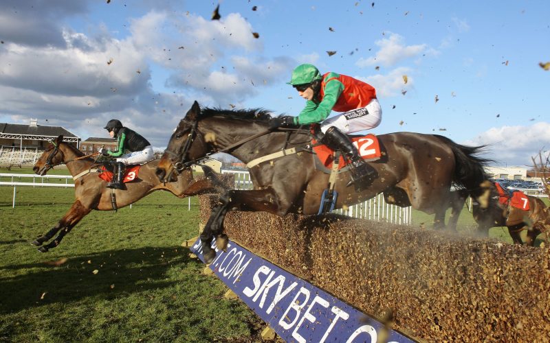 Racing Betting