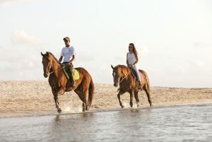 Mauritius Bucket List