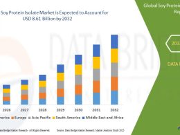 Soy-Protein-Isolate-Market-Size