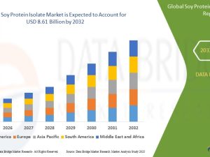 Soy-Protein-Isolate-Market-Size