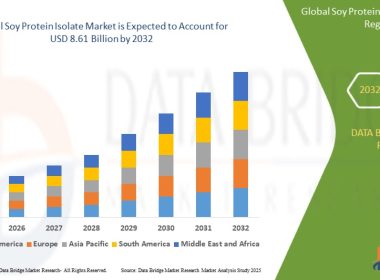 Soy-Protein-Isolate-Market-Size