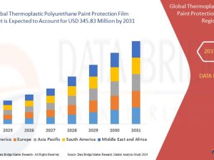 Thermoplastic-Polyurethane-Paint-Protection-Film-Market