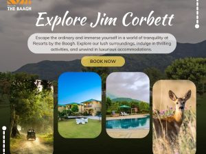 jim corbett resorts