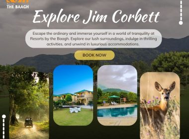 jim corbett resorts