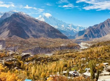 north tour by nature explorer tours