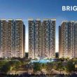 brigade avalon