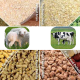 Protease in Animal Feed Market: Livestock Production