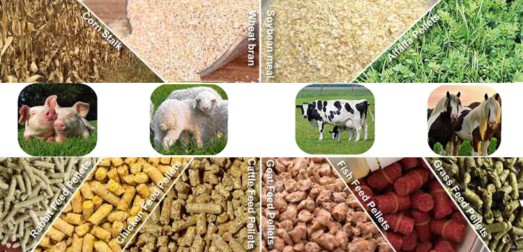 Protease in Animal Feed Market: Livestock Production