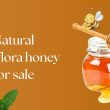 natural multiflora honey for sale