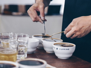 Professional Coffee Lab Trays for Cupping and Quality Control