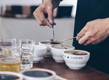 Professional Coffee Lab Trays for Cupping and Quality Control