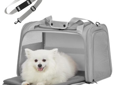 dog travel suitcase