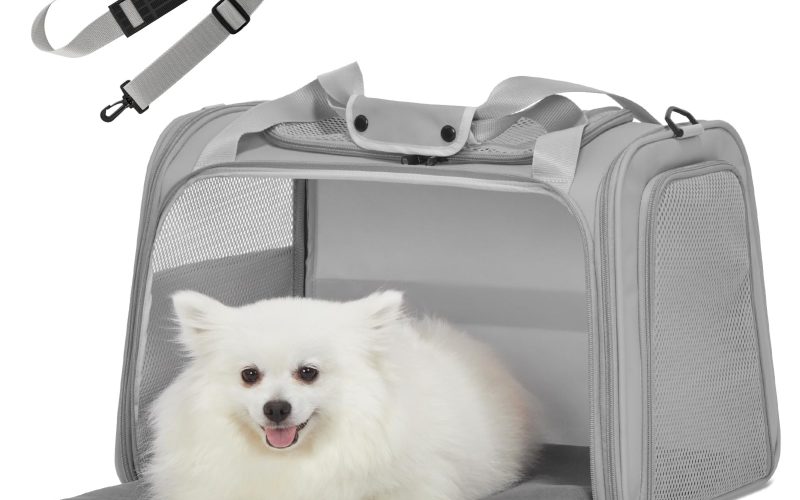 dog travel suitcase