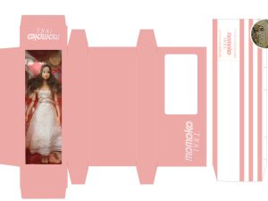 Custom Doll Boxes
