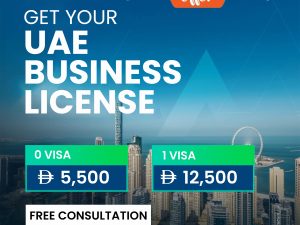 Expert Business Setup Consultants Services in Dubai