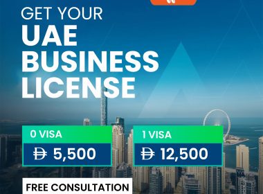 Expert Business Setup Consultants Services in Dubai