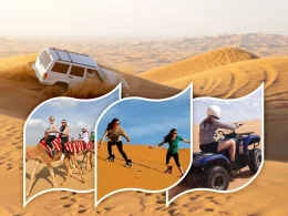 Morning Desert Safari Tour in Dubai