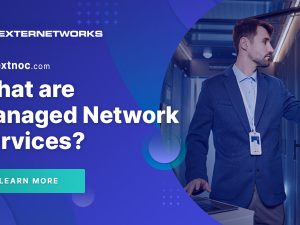 What are Managed Network Services
