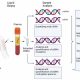 cfdna-vs-ctdna