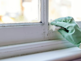 How to Clean Mold from the Windows 2025? Complete Guide