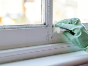 How to Clean Mold from the Windows 2025? Complete Guide
