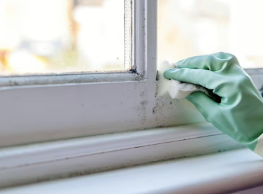 How to Clean Mold from the Windows 2025? Complete Guide
