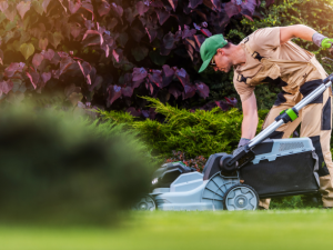 Affordable Lawn Mowing & Gutter Cleaning in Forest Park GA