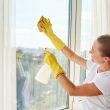 Clean Mold from the Windows