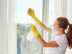 Clean Mold from the Windows