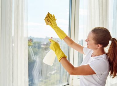 Clean Mold from the Windows