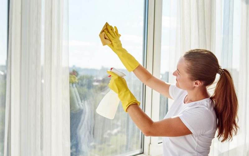 Clean Mold from the Windows