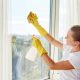 Clean Mold from the Windows