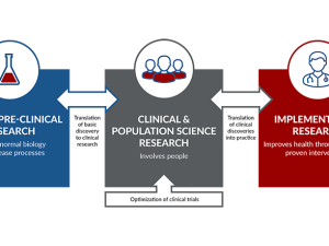 Step-by-Step Guide: Transition from Healthcare to Clinical Research 