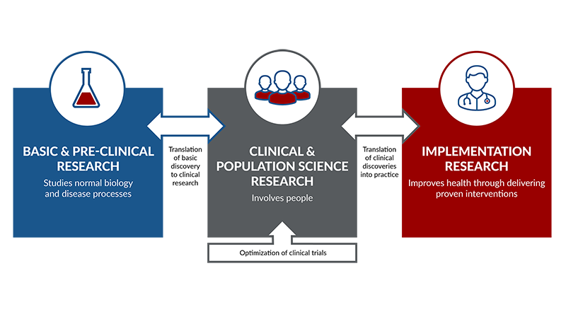 Step-by-Step Guide: Transition from Healthcare to Clinical Research 