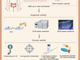 the-role-of-ngs-in-msi-detection