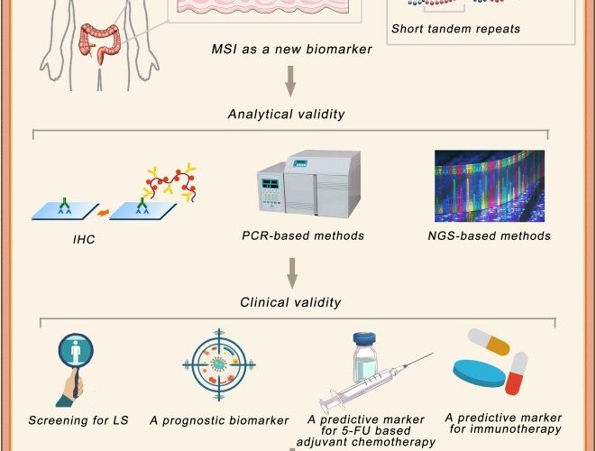 the-role-of-ngs-in-msi-detection