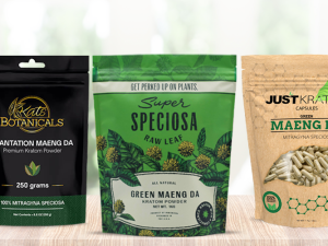 Top Places to Find High-Quality Kratom for Sale Online in 2025