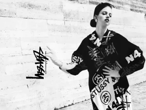 stussy hoodie