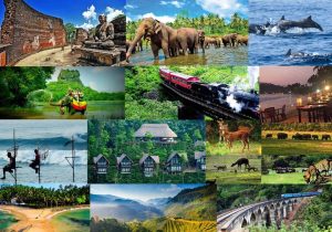 Sri Lanka Travel