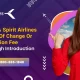 Frontier Cancellation Fee