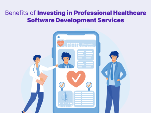 Healthcare Software Development Services