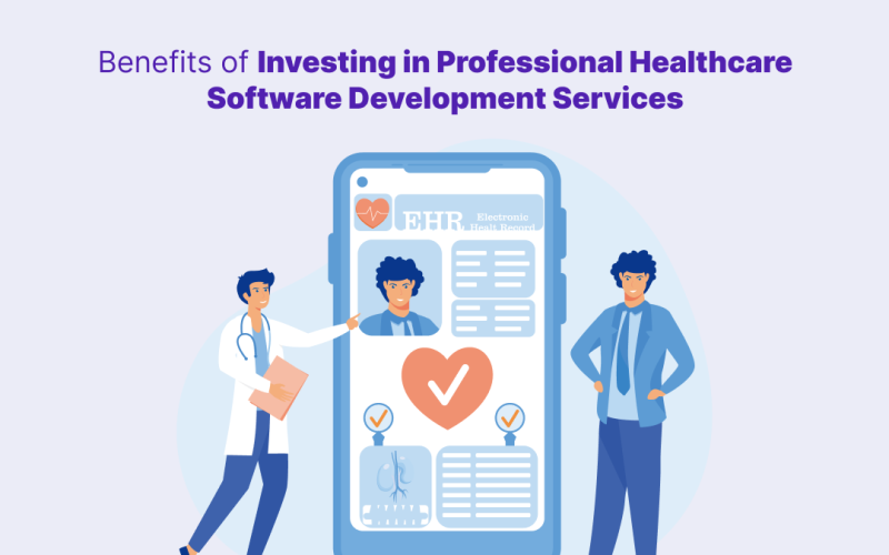 Healthcare Software Development Services
