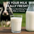 Is Your Milk Really Fresh? A Guide to Identifying Pure Cow Milk in Chennai