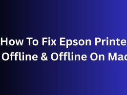 How To Fix Epson Printer Offline & Offline On Mac