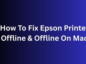 How To Fix Epson Printer Offline & Offline On Mac