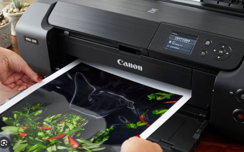 Canon