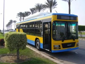 Transportation from Cairo to Siwa