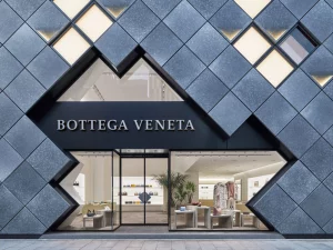 Bottega Desires Clothing