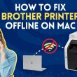 Epson Printer Offline