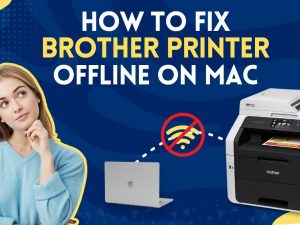 Epson Printer Offline